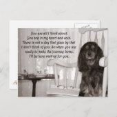 Vermiste U: Een Cavalier KIng Charles Spaniel Kaar Briefkaart (Voorkant / Achterkant)