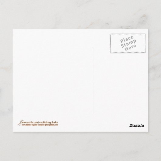 Vermiste U: Een Cavalier KIng Charles Spaniel Kaar Briefkaart (Achterkant)