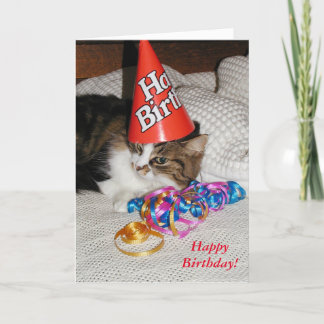 Vermoeid Kat in Pet Verjaardag Kaart
