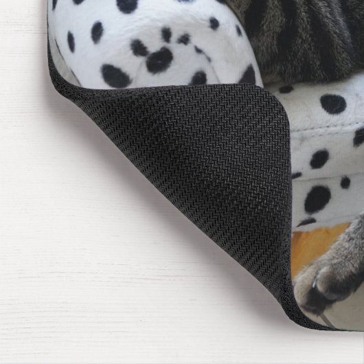 Vermoeid kat muismat (Hoek)