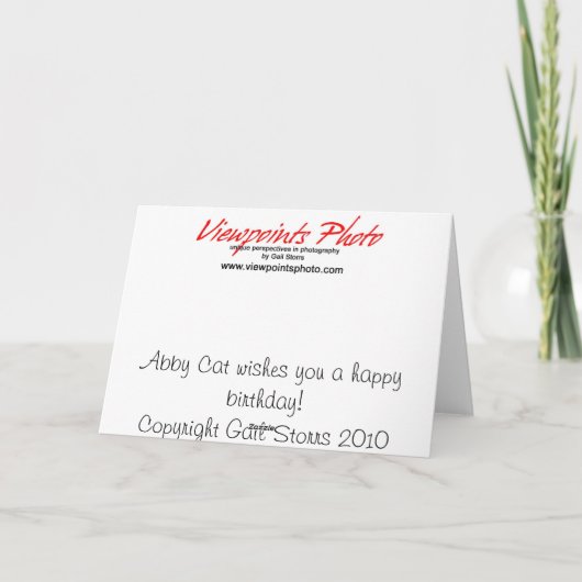 Vermoeide kat Verjaardag Kaart (Achterkant)