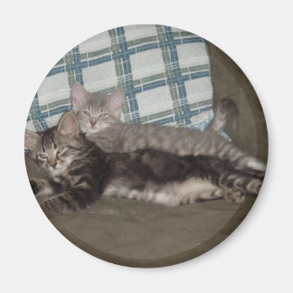 Vermoeide kitten magneet