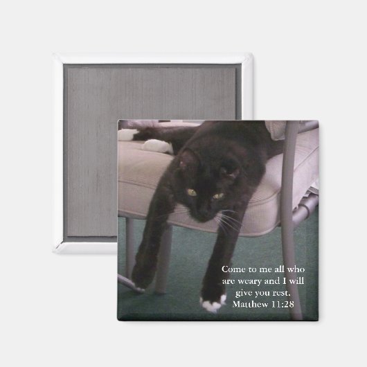 Vermoeide Mr B magneet (Voorkant / Achterkant)