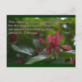 vermogen om dankbaar te zijn briefkaart