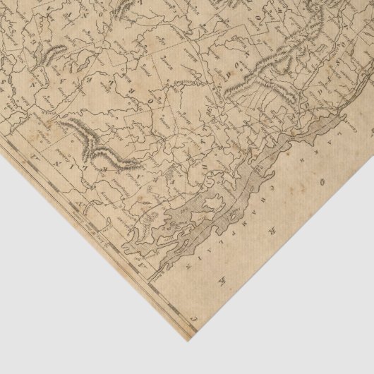 Vermont 5 tissuepapier (Detail)