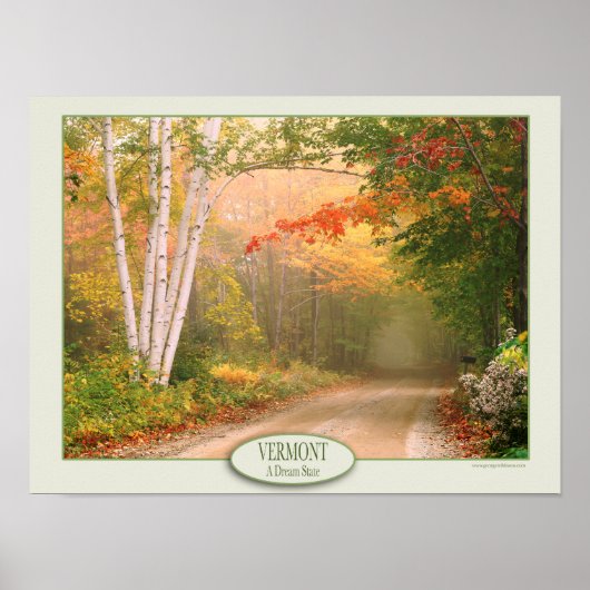Vermont A Dream State Value Poster Paper (Matte) (Voorkant)