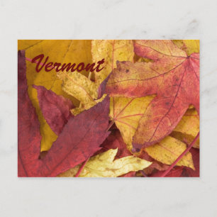 Vermont Autumn Leaves Briefkaart