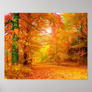 Vermont Autumn Natuur Landscape Fine Art Poster
