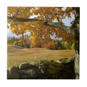 Vermont Autumn Uitzicht Tegel Tegeltje