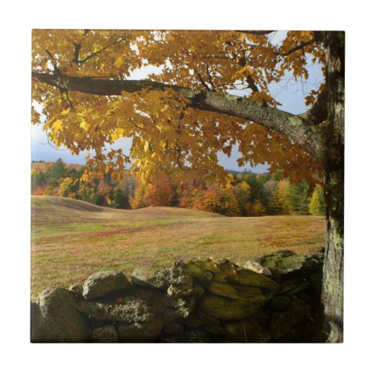 Vermont Autumn Uitzicht Tegel Tegeltje (Voorkant)