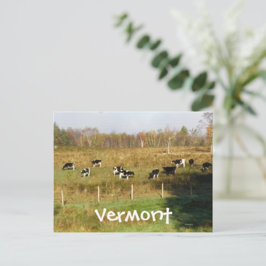 Vermont Briefkaart (Staand voorkant)