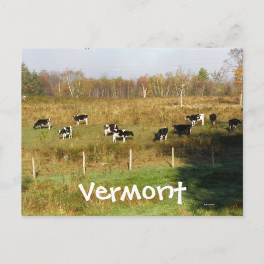 Vermont Briefkaart (Voorkant)