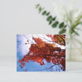 Vermont Briefkaart 1 (Staand voorkant)