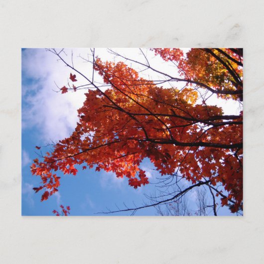 Vermont Briefkaart 1 (Voorkant)