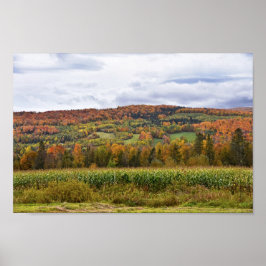 Vermont Corn Field in het najaar Poster