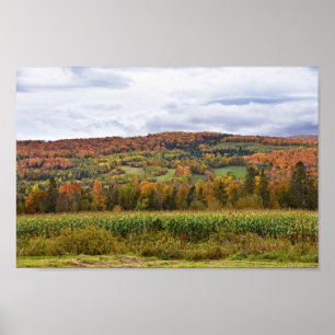 Vermont Corn Field in het najaar Poster