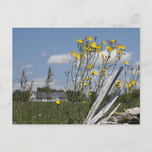 Vermont Country Living Briefkaart (Voorkant)