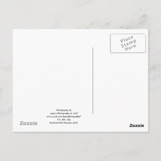 Vermont Diner - Briefkaart (Achterkant)