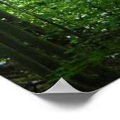 VERMONT FOREST POSTER (Hoek)