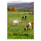 Vermont Goats Sympathy Card (Voorkant)