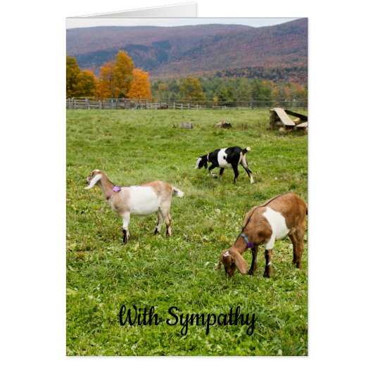 Vermont Goats Sympathy Card (Voorkant)