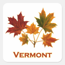 Vermont Herfst Foliage - Maple Leaves Vierkante Sticker