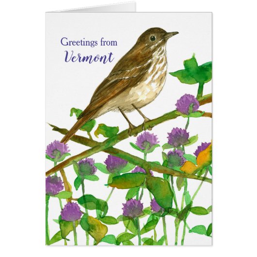 Vermont Hermit Thrush Clover Hallo Friend (Voorkant)