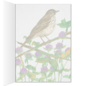 Vermont Hermit Thrush Clover Hallo Friend (Binnen (Rechts))