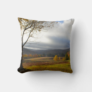 Vermont in het najaar kussen