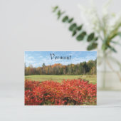 Vermont in kleur briefkaart (Staand voorkant)