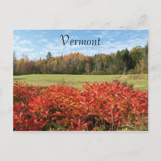 Vermont in kleur briefkaart (Voorkant)