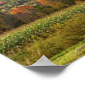 Vermont maisveld in de herfst poster (Hoek)