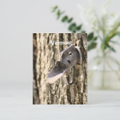 Vermont Maple Tapping Briefkaart (Staand voorkant)