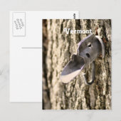 Vermont Maple Tapping Briefkaart (Voorkant / Achterkant)