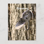 Vermont Maple Tapping Briefkaart (Voorkant)