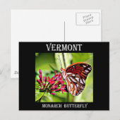 Vermont Monarch Butterfly Briefkaart (Voorkant / Achterkant)