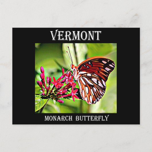 Vermont Monarch Butterfly Briefkaart (Voorkant)