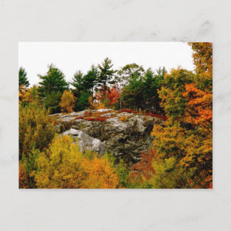 Vermont najaar briefkaart