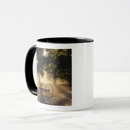 Vermont, Noordoost-Koninkrijk, zonlicht vallen Mok (Voorkant links)