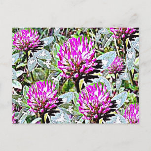 Vermont Red Clover Briefkaart