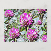 Vermont Red Clover Briefkaart (Voorkant)
