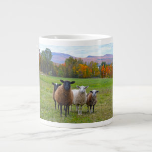 Vermont Sheep in het najaar Grote Koffiekop