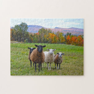 Vermont Sheep in het najaar Legpuzzel