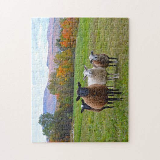 Vermont Sheep in het najaar Legpuzzel (Verticaal)