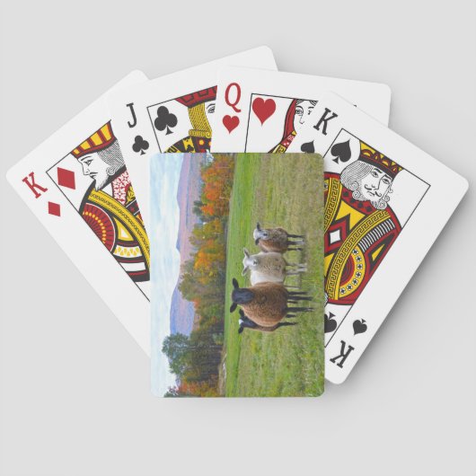 Vermont Sheep in het najaar Pokerkaarten (Achterkant)