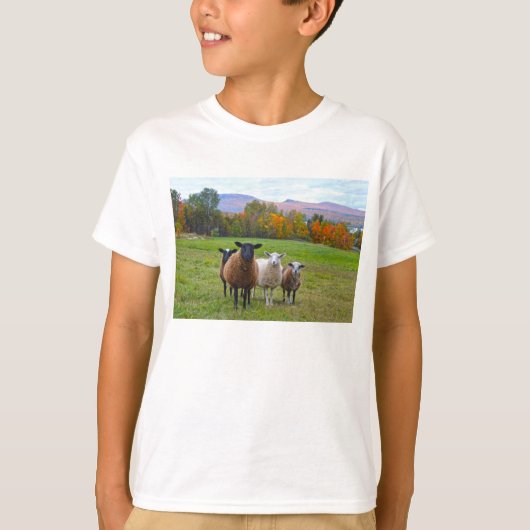 Vermont Sheep in het najaar T-shirt (Voorkant)