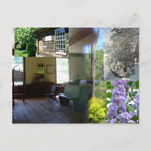 Vermont Spring Beauty Briefkaart (Voorkant)