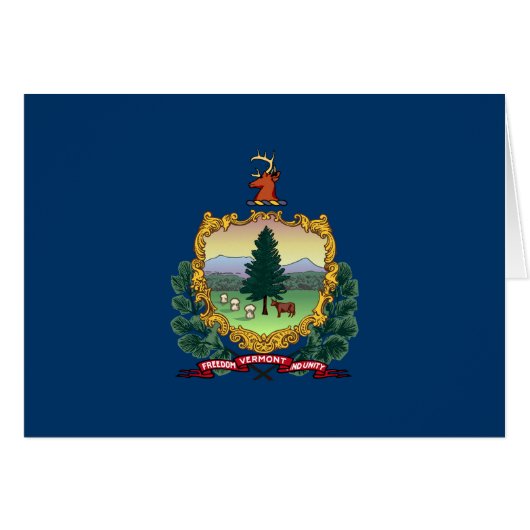 Vermont Staatsvlag (Voorkant Horizontaal)
