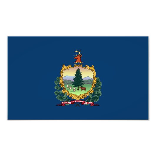 Vermont Staatsvlag Foto Afdruk (Voorkant)