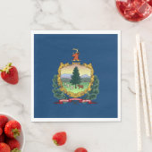 Vermont Staatsvlag Servet (Insitu)